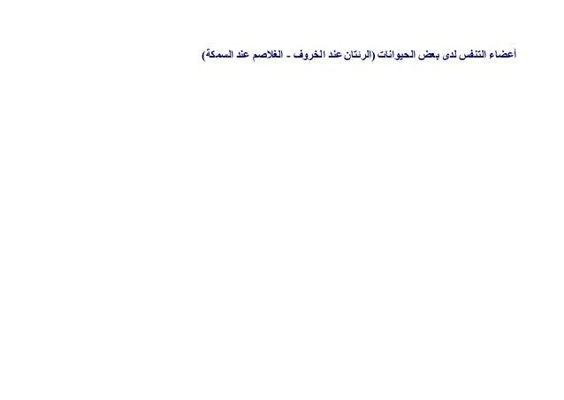 أعضاء التنفس لدى بعض الحيوانات