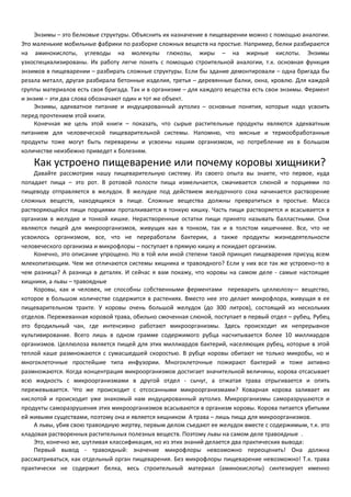 Энзимы – это белковые структуры. Объяснить их назначение в пищеварении можно с помощью аналогии. 
Это маленькие мобильные фабрики по разборке сложных веществ на простые. Например, белки разбираются 
на аминокислоты, углеводы на молекулы глюкозы, жиры – на жирные кислоты. Энзимы 
узкоспециализированы. Их работу легче понять с помощью строительной аналогии, т.к. основная функция 
энзимов в пищеварении – разбирать сложные структуры. Если бы здание демонтировали – одна бригада бы 
резала металл, другая разбирала бетонные изделия, третья – деревянные балки, окна, кровлю. Для каждой 
группы материалов есть своя бригада. Так и в организме – для каждого вещества есть свои энзимы. Фермент 
и энзим – эти два слова обозначают один и тот же объект. 
Энзимы, адекватное питание и индуцированный аутолиз – основные понятия, которые надо усвоить 
перед прочтением этой книги. 
Конечная же цель этой книги – показать, что сырые растительные продукты являются адекватным 
питанием для человеческой пищеварительной системы. Напомню, что мясные и термообработанные 
продукты тоже могут быть переварены и усвоены нашим организмом, но потребление их в большом 
количестве неизбежно приведет к болезням. 
Как устроено пищеварение или почему коровы хищники? 
Давайте рассмотрим нашу пищеварительную систему. Из своего опыта вы знаете, что первое, куда 
попадает пища – это рот. В ротовой полости пища измельчается, смачивается слюной и порциями по 
пищеводу отправляется в желудок. В желудке под действием желудочного сока начинается растворение 
сложных веществ, находящихся в пище. Сложные вещества должны превратиться в простые. Масса 
растворяющейся пищи порциями проталкивается в тонкую кишку. Часть пищи растворяется и всасывается в 
организм в желудке и тонкой кишке. Нерастворенные остатки пищи принято называть балластными. Они 
являются пищей для микроорганизмов, живущих как в тонком, так и в толстом кишечнике. Все, что не 
усвоилось организмом, все, что не переработали бактерии, а также продукты жизнедеятельности 
человеческого организма и микрофлоры – поступает в прямую кишку и покидает организм. 
Конечно, это описание упрощено. Но в той или иной степени такой принцип пищеварения присущ всем 
млекопитающим. Чем же отличаются системы хищника и травоядного? Если у них все так же устроено–то в 
чем разница? А разница в деталях. И сейчас я вам покажу, что коровы на самом деле - самые настоящие 
хищники, а львы – травоядные 
Коровы, как и человек, не способны собственными ферментами переварить целлюлозу— вещество, 
которое в большом количестве содержится в растениях. Вместо нее это делает микрофлора, живущая в ее 
пищеварительном тракте. У коровы очень большой желудок (до 300 литров), состоящий из нескольких 
отделов. Пережеванная коровой трава, обильно смоченная слюной, поступает в первый отдел – рубец. Рубец 
это бродильный чан, где интенсивно работают микроорганизмы. Здесь происходит их непрерывное 
культивирование. Всего лишь в одном грамме содержимого рубца насчитывается более 10 миллиардов 
организмов. Целлюлоза является пищей для этих миллиардов бактерий, населяющих рубец, которые в этой 
теплой каше размножаются с сумасшедшей скоростью. В рубце коровы обитают не только микробы, но и 
многоклеточные простейшие типа инфузории. Многоклеточные пожирают бактерий и тоже активно 
размножаются. Когда концентрация микроорганизмов достигает значительной величины, корова отсасывает 
всю жидкость с микроорганизмами в другой отдел - сычуг, а отжатая трава отрыгивается и опять 
пережевывается. Что же происходит с отсосанными микроорганизмами? Коварная корова заливает их 
кислотой и происходит уже знакомый нам индуцированный аутолиз. Микрорганизмы саморазрушаются и 
продукты саморазрушения этих микроорганизмов всасываются в организм коровы. Корова питается убитыми 
ей живыми существами, поэтому она и является хищником А трава – лишь пища для микроорганизмов. 
А львы, убив свою травоядную жертву, первым делом съедают ее желудок вместе с содержимым, т.к. это 
кладовая растворенных растительных полезных веществ. Поэтому львы на самом деле травоядные . 
Это, конечно же, шутливая классификация, но из этих знаний делается два практических вывода: 
Первый вывод - травоядный: значение микрофлоры невозможно переоценить! Она должна 
рассматриваться, как отдельный орган пищеварения. Без микрофлоры пищеварение невозможно! Т.к. трава 
практически не содержит белка, весь строительный материал (аминокислоты) синтезирует именно 
 