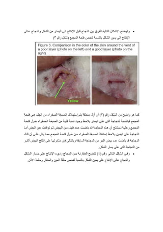 ج ا  د # ب % ا 
ر ( ا
 أ * ر/ ر 
 آ اد ا  إ 
Reda.Abouelghar@Gmail.com 
# ا $! ا % ا ' ()  