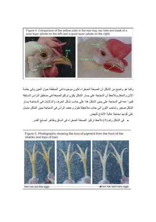 ج ا  !  ا  ا 	
  