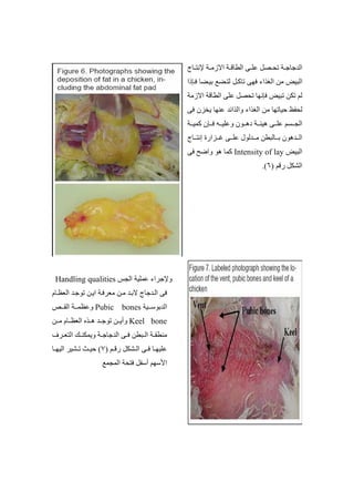 . /
. $#
0 ا 12
 ا  