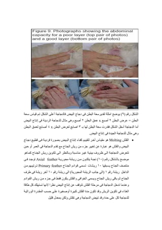 دة ا ;? ا (5 دة ( ;? ا '  ج ا  ! إ 
)
 أ /; = ;
 
  H
  ا ' ج  ! ا 
)
 أ /; = ع % ٣٠ أ -٢٨  