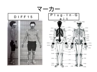 マーカー 
ＤＩＦＦ１５ Ｐｌｕｇ-Ｉｎ-Ｇ 
ａｉｔ 
 