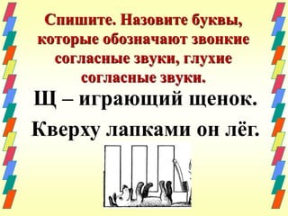 Спишите. Назовите буквы, 
которые обозначают звонкие 
согласные звуки, глухие 
согласные звуки. 
Щ – играющий щенок. 
Кверху лапками он лёг. 
 