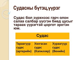 Судасны бүтэц,үүрэг 
Судас бол зүрхнээс гарч олон 
салаа салбар үүсгэн биед цусыг 
тараах үүрэгтэй цоргот эрхтэн 
юм. 
Тараагуур 
судас 
(артерийн) 
Хялгасан 
судас 
(Капилляр) 
Хураагуур 
судас 
(Венийн) 
Судас 
 