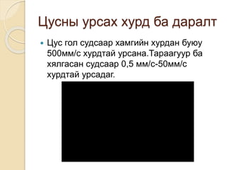 Цусны урсах хурд ба даралт 
 Цус гол судсаар хамгийн хурдан буюу 
500мм/с хурдтай урсана.Тараагуур ба 
хялгасан судсаар 0,5 мм/с-50мм/с 
хурдтай урсадаг. 
 