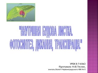 УРОК В 7 КЛАСІ 
Підготувала: Н.Ю.Теслюк, 
вчитель біології Червоноградського НВК №13 
 