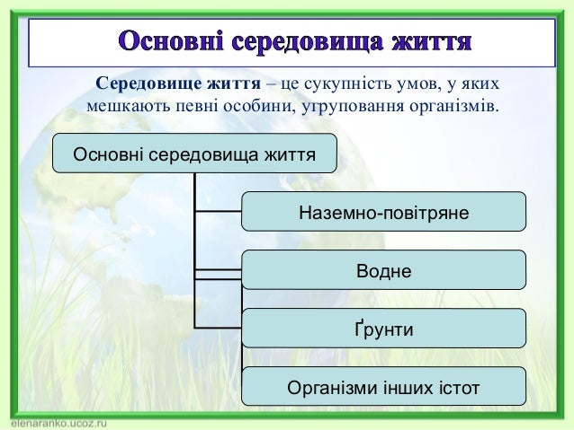 Результат пошуку зображень за запитом групи тварин за способом життя