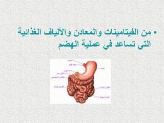 • من الف تٌام نٌات والمعادن والأل اٌف الغذائ ةٌ 
الت تساعد ف عمل ةٌ الهضم 
 