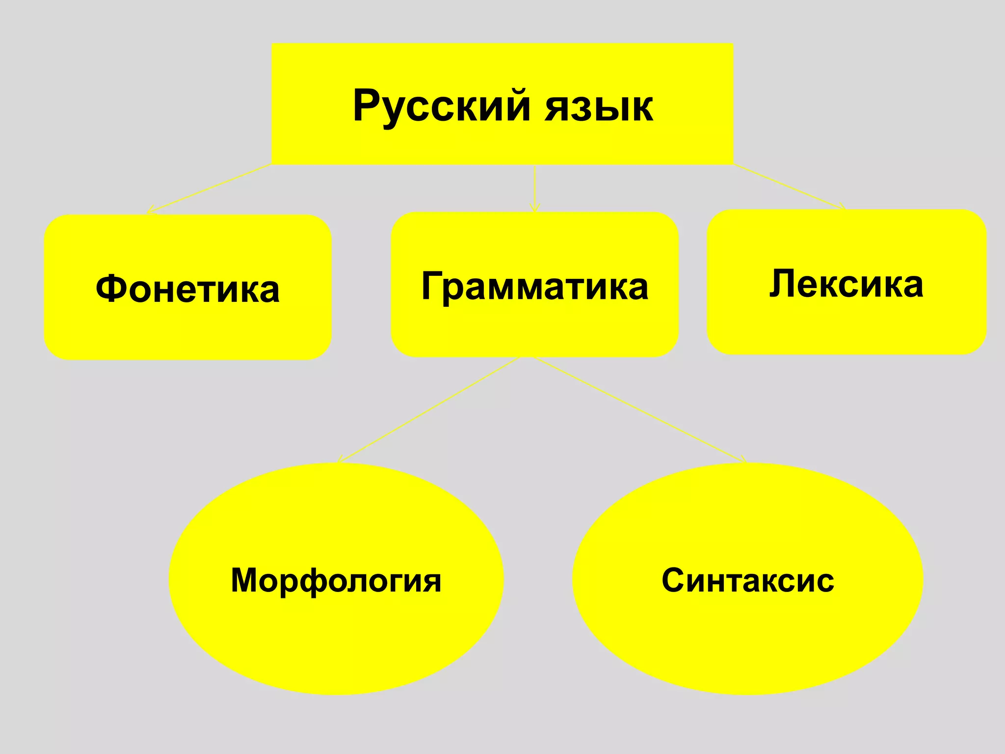 Русский язык
Грамматика ЛексикаФонетика
Морфология Синтаксис
 