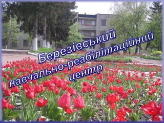 Березівський навчально-реабілітаційний центр