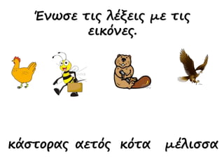 κάστορας αετός κότα μέλισσα
Ένωσε τις λέξεις με τις
εικόνες.
 