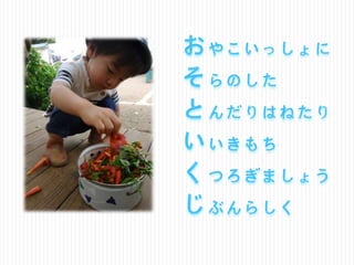 Ϥ⤬ᣲ