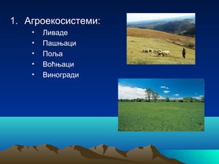 1. Агроекосистеми:
• Ливаде
• Пашњаци
• Поља
• Воћњаци
• Виногради
 