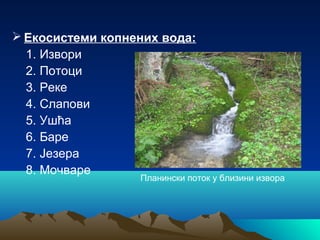  Екосистеми копнених вода:
1. Извори
2. Потоци
3. Реке
4. Слапови
5. Ушћа
6. Баре
7. Језера
8. Мочваре
Планински поток у близини извора
 