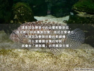 這是因為靜脈中的血壓較動脈低，這是因為靜脈中的血壓較動脈低，
因此較不容易傷害血管，造成血管硬化，因此較不容易傷害血管，造成血管硬化，
不過因為靜脈流動的較緩慢，不過因為靜脈流動的較緩慢，
所以當瓣膜故障的時候，所以當瓣膜故障的時候，
就會有「靜脈瘤」的問題發生喔就會有「靜脈瘤」的問題發生喔！
 