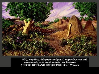 Ρύζι, καπύδερ, διάθοποι ζπόποι. Ο οςπανόρ είναι από κόκκινο λάσανο, μικπό πιπούνι υρ δικπάνι. ΑΠΟ ΤΟ ΒΡΔΤΑΝΟ ΦΩΤΟΓΡΑΦΟCarl Warner  