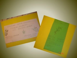 η ελιά το πολύτιμο δώρο της θεάς αθηνάς