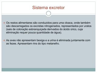 Sistema excretor 
 Os restos alimentares são conduzidos para uma cloaca, onde também 
são descarregados os excretas nitrogenados, representados por uratos 
(sais de coloração esbranquiçada derivados do ácido úrico, cuja 
eliminação requer pouca quantidade de água). 
 As aves não apresentam bexiga e a urina é eliminada juntamente com 
as fezes. Apresentam rins do tipo metanefro. 
 