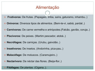 Alimentação 
 Frutívoros: De frutas. (Papagaio, tiriba, saíra, gaturamo, inhambu..) 
 Onívoros: Diversos tipos de alimentos. (Bem-te-vi, sabiá, pardal..) 
 Carnívoros: De carne vermelha e artrópodes.(Falcão, gavião, coruja..) 
 Piscívoros: De peixes. (Martim pescador, atobá..) 
 Necrófagos: De carniças. (Urubu, gaivotão..) 
 Insetívoros: De insetos. (Andorinha, pica-pau..) 
 Malacófago: De moluscos. (Caramujeiro..) 
 Nectarívoro: De néctar das flores. (Beija-flor..) 
 Fitófagos: De plantas. (Cigana..). 
 