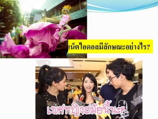 เน็ตไอดอลมีลักษณะอย่างไร? 
 