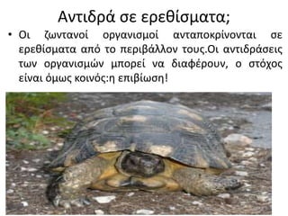 Αντιδρά σε ερεθίσματα; 
• Οι ζωντανοί οργανισμοί ανταποκρίνονται σε 
ερεθίσματα από το περιβάλλον τους.Οι αντιδράσεις 
των οργανισμών μπορεί να διαφέρουν, ο στόχος 
είναι όμως κοινός:η επιβίωση! 
 