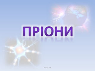 Пенюк О.В 
 