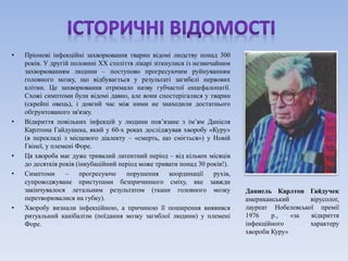 • Пріонові інфекційні захворювання тварин відомі людству понад 300 
років. У другій половині XX століття лікарі зіткнулися із незвичайним 
захворюванням людини – поступово прогресуючим руйнуванням 
головного мозку, що відбувається у результаті загибелі нервових 
клітин. Це захворювання отримало назву губчастої енцефалопатії. 
Схожі симптоми були відомі давно, але вони спостерігалися у тварин 
(скрейпі овець), і довгий час між ними не знаходили достатнього 
обгрунтованого зв'язку. 
• Відкриття повільних інфекцій у людини пов’язане з ім’ям Даніеля 
Карлтона Гайдушека, який у 60-х роках досліджував хворобу «Куру» 
(в перекладі з місцевого діалекту – «смерть, що сміється») у Новій 
Гвінеї, у племені Форе. 
• Ця хвороба має дуже тривалий латентний період – від кількох місяців 
до десятків років (інкубаційний період може тривати понад 30 років!). 
• Симптоми – прогресуюче порушення координації рухів, 
супроводжуване приступами безпричинного сміху, яке завжди 
закінчувалося летальним результатом (ткани головного мозку 
перетворювалися на губку). 
• Хворобу визнали інфекційною, а причиною її поширення виявився 
ритуальний канібалізм (поїдання мозку загиблої людини) у племені 
Форе. 
Даниель Карлтон Гайдучек 
американський вірусолог, 
лауреат Нобелевської премії 
1976 р., «за відкриття 
інфекційного характеру 
хвороби Куру» 
 