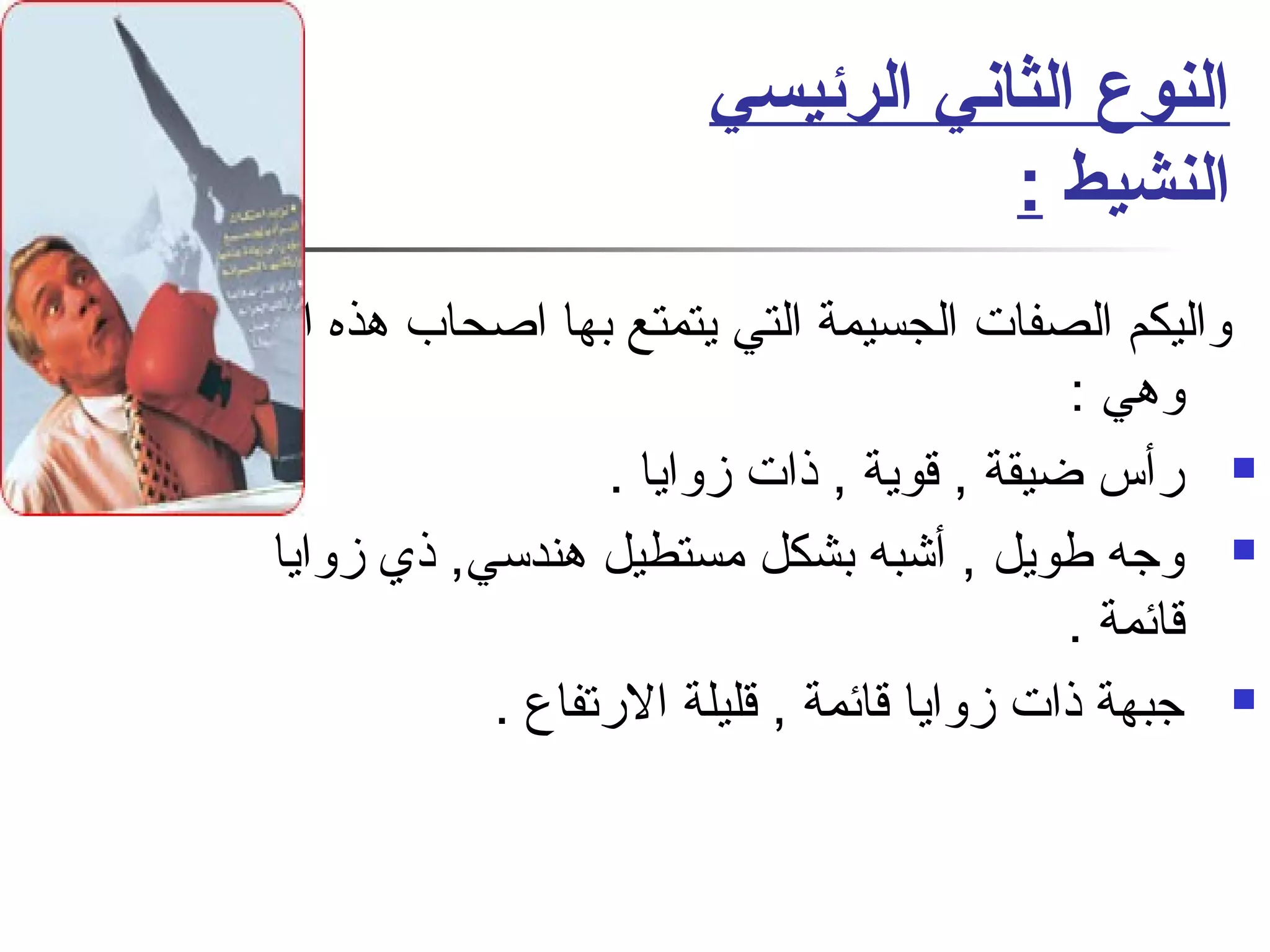 النوع الثاني الرئيسي 
النشيط : 
واليكم الصفات الجسيمة التي يتمتع بها اصحاب هذه الجسام 
وهي : 
رأس ضيقة , قوية , ذات زوايا .  
وجه طويل , أشبه بشكل مستطيل هندسي, ذي زوايا  
قائمة . 
جبهة ذات زوايا قائمة , قليلة الرتفاع .  
 