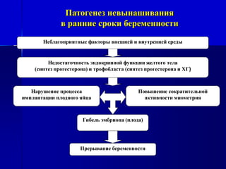 Патогенез невынашивания 
в ранние сроки беременности 
Неблагоприятные факторы внешней и внутренней среды 
Недостаточность эндокринной функции желтого тела 
(синтез прогестерона) и трофобласта (синтез прогестерона и ХГ) 
Повышение сократительной 
активности миометрия 
Нарушение процесса 
имплантации плодного яйца 
Гибель эмбриона (плода) 
Прерывание беременности 
 