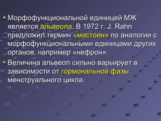 ММооррффооффууннккццииооннааллььнноойй ееддииннииццеейй ММЖЖ 
яяввлляяееттссяя ааллььввееооллаа.. ВВ 1197722 гг.. JJ.. RRaahhnn 
ппррееддллоожжиилл ттееррммиинн «ммаассттооиинн» ппоо ааннааллооггииии сс 
ммооррффооффууннккццииооннааллььнныыммии ееддииннииццааммии ддррууггиихх 
ооррггаанноовв,, ннааппррииммеерр «ннееффрроонн».. 
ВВееллииччииннаа ааллььввееоолл ссииллььнноо ввааррььииррууеетт вв 
ззааввииссииммооссттии оотт ггооррммооннааллььнноойй ффааззыы 
ммееннссттррууааллььннооггоо ццииккллаа.. 
 