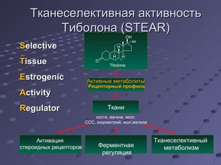 ТТккааннеессееллееккттииввннааяя ааккттииввннооссттьь 
ТТииббооллооннаа ((SSTTEEAARR)) 
ААккттииввнныыее ммееттааббооллииттыы 
РРееццееппттооррнныыйй ппррооффиилльь 
Ткани 
Ферментная 
регуляция 
Активация 
стероидных рецепторов 
Тканеселективный 
метаболизм 
кости, вагина, мозг, 
ССС, эндометрий, мол.железа 
SSeelleeccttiivvee 
TTiissssuuee 
EEssttrrooggeenniicc 
Accttiivviittyy 
RReegguullaattoorr 
 
