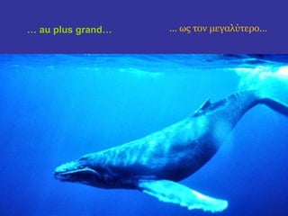 … au plus grand… ... ως τον μεγαλύτερο… 
 