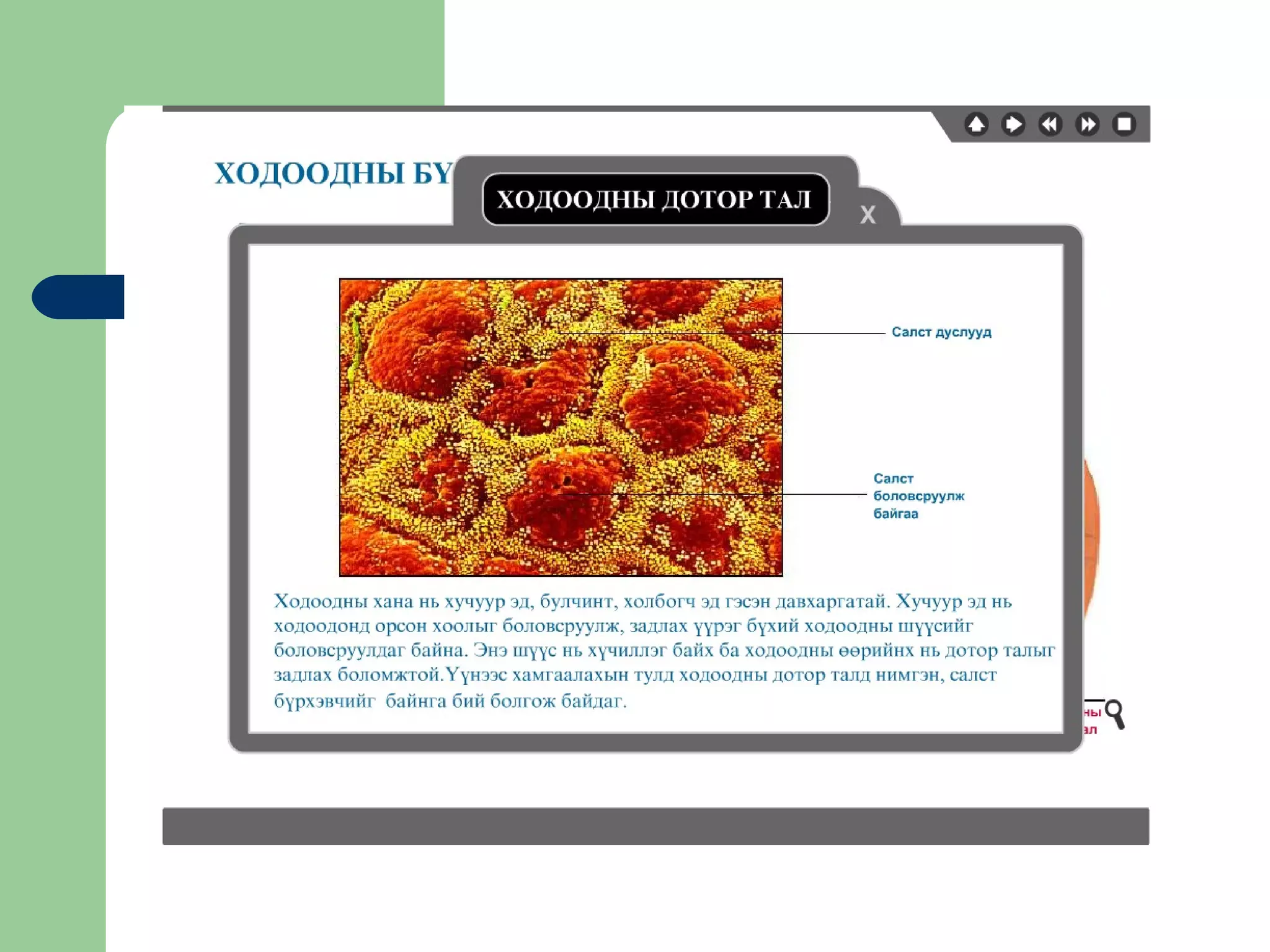 хүний хоол боловсруулах эрхтэн | PPT