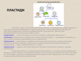 ПЛАСТИДИ 
Основні типи пластид в рослинній клітині 
Пластиди наявні в усіх живих рослинних клітинах. Ці органели між собою поєднує те, 
що їх вкрито двома мембранами і в одного організму є кілька однакових копій ДНК. Всі 
пластиди утворюються з пропластид меристемних клітин рослин. Пропластиди 
диференціюються залежно від потреб клітини: 
•хлоропласти — зелені пластиди, що містять хлорофіл і здійснюють фотосинтез; 
•етіопласти утворюються в темряві, вони містять жовтий пігмент — попередник хлорофілу, на 
світлі можуть швидко перетворюватись на хлоропласти; 
•лейкопласти — утворюються у нефотосинтетичних клітинах рослин, є місцем запасання 
органічних речовин, зокрема в амілопластах накопичуються вуглеводи (крохмаль), в 
елайопластах — жири, у протеїнопластах — білки; 
•хромопласти — червоні, жовті або оранжеві пластиди, накопичують пігменти, зокрема 
каротиноїди. 
Окрім фотосинтезу та накопичення різних речовин, у пластидах також відбуваються 
процеси синтезу пуринів та піримідинів, жирних кислот та деяких амінокислот тощо. Пластиди, 
як і мітохондрії, є порівняно автономними органелами клітини. Вважається, що вони можуть 
походити від симбіотичних ціанобактерій. 
 