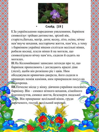 • Слайд [19 ] 
І.За українськими народними уявленнями, барвінок 
символізує трійцю:дитинство, зрілий вік, 
старість;батька, матір, дитя; весну, літо, осінь; вічне 
нев’януче кохання, нестаріюче життя, пам’ять, а тому 
з барвінком українці віками сплітали весільні вінки, 
робили косиці, плели вінки й на могили, що 
символізувало вічну пам’ять, садили й садять на 
могилах. 
ІІ.На Коломиївщині записано легенди про те, що 
барвінок прополюють і доглядають красні діви 
(лісні), щоби він розкішно ріс і цвів. Ним 
обсаджували кринички-джерела, його садили в 
криницях поміж каміння, ним прикрашали посуд на 
Водохреща. 
ІІІ.Почесне місце у вінку дівчини-українки належить 
барвінку. Він – символ вічного кохання, сімейного 
благополуччя, символ життя, безсмертя людської 
душі. Він прикрашає весільний вінок, груди 
нареченого, гостей, весільний коровай. 
 