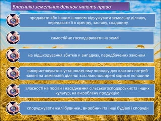 Власники земельних Власники земельних д діліляянноокк м мааююттьь п пррааввоо 
 