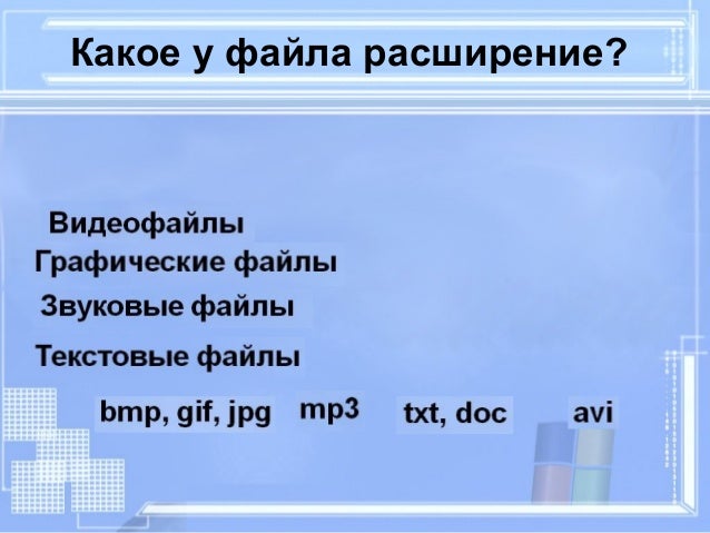 Какое расширение имеет изображение. Расширение файла характеризуется.