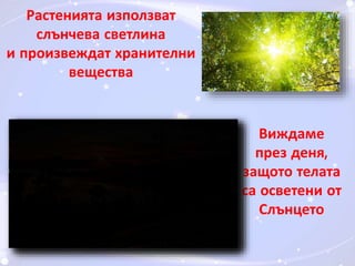 Растенията използват 
слънчева светлина 
и произвеждат хранителни 
вещества 
Виждаме 
през деня, 
защото телата 
са осветени от 
Слънцето 
 