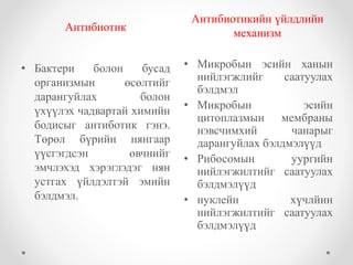 Антибиотик 
Антибиотикийн үйлдлийн 
механизм 
• Бактери болон бусад 
организмын өсөлтийг 
дарангуйлах болон 
үхүүлэх чадвартай химийн 
бодисыг антиботик гэнэ. 
Төрөл бүрийн нянгаар 
үүсгэгдсэн өвчнийг 
эмчлэхэд хэрэглэдэг нян 
устгах үйлдэлтэй эмийн 
бэлдмэл. 
• Микробын эсийн ханын 
нийлэгжлийг саатуулах 
бэлдмэл 
• Микробын эсийн 
цитоплазмын мембраны 
нэвсчимхий чанарыг 
дарангуйлах бэлдмэлүүд 
• Рибосомын уургийн 
нийлэгжилтийг саатуулах 
бэлдмэлүүд 
• нуклейн хүчлйин 
нийлэгжилтийг саатуулах 
бэлдмэлүүд 
 