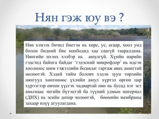Нян гэж юу вэ ? 
Нян хэмээх бичил биетэн нь хөрс, ус, агаар, хоол унд 
болон бидний бие махбодид хаа саагүй тааралдана. 
Нянгийн ихэнх хэлбэр нь аюулгүй. Хүнйи нарийн 
гэдсэнд байнга байдаг ‘гэдэсний микрофлор’ нь идсэн 
хоолноос шим тэжээлийн бодисыг гаргаж авах ашигтай 
нөлөөтэй. Хэдий тийм боловч хэдэн зуун төрлийн 
нянгууд хөнгөнөөс үхлийн аюул хүртэл өргөн цар 
хүрээгээр өвчин үүсгэх чадвартай нян нь бусад нэг эст 
амьтнаас энгийн бүтэцтэй ба түүний удмын материал 
(ДНХ) нь эсийн дотор чөлөөтэй, бөөмийн мембраны 
захаар илүү агуулагдана. 
 