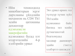 • Ийм тохиолдолд 
микобактерын эсрэг 
дархлааны үйлдлийн 
механизм нь CD4 Th1 
эсийн цитокины 
дохиогоор 
идэвхижсэн 
макрофагийн 
идэвхижил бусад хэт 
мэдрэгшлийн 4-р 
хэлбэрийн урвал 
Энэ урвал өрнөх гол 
түлхүүр хүчин зүйл 
Th1эсийн 
идэвхижил байх 
бөгөөд энэ эсийн 
дутмагшилтай 
бодгалиудад 
халдвар даамжирч 
эдийн гэмтэл 
хэлбэртээ шилждэг. 
 