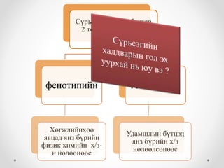 Сүрьеэгийн микобактер 
2 төрлийн тэсвэрлэх 
чадвартай 
фенотипийн 
Хөгжлийнхөө 
явцад янз бүрийн 
физик химийн х/з- 
н нөлөөнөөс 
генотипийн 
Удамшлын бүтцэд 
янз бүрийн х/з 
нөлөөлсөнөөс 
 