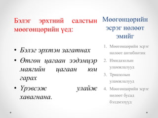 Мөөгөнцөрийн 
эсрэг нөлөөт 
эмийг 
Бэлэг эрхтний салстын 
мөөгөнцөрийн үед: 
• Бэлэг эрхтэн загатнах 
• Өтгөн цагаан ээдэмцэр 
маягийн цагаан юм 
гарах 
• Үрэвсэж улайж 
хавагнана. 
1. Мөөгөнцөрийн эсрэг 
нөлөөт антибиотик 
2. Имидазолын 
уламжлалууд 
3. Триазолын 
уламжлалууд 
4. Мөөгөнцөрийн эсрэг 
нөлөөт бусад 
бэлдмэлүүд 
 