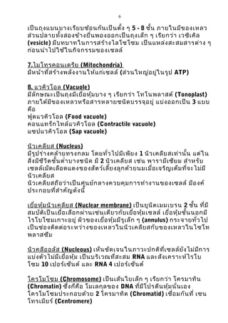 6 
เป็นถุงแบนบางเรียบซ้อนกันเป็นตั้ง ๆ 5 - 8 ชั้น ภายในมีของเหลว 
ส่วนปลายทั้งสองข้างยื่นพองออกเป็นถุงเล็ก ๆ เรียกว่า เวซิเคิล 
(vesicle) มีบทบาทในการสร้างไลโซโซม เป็นแหล่งสะสมสารต่าง ๆ 
ก่อนนำาไปใช้ในกิจกรรมของ๶ซลล์ 
7 . ไมโทรคอนเดรีย (Mitochondria) 
มีหน้าที่สร้างพลังงานให้แก่๶ซลล์ (ส่วนใหญ่อยู่ในรูป ATP) 
8. แวคิวโอล (Vacuole) 
มีลักษณะเป็นถุงมีเยื่อหุ้มบาง ๆ เรียกว่า โทโนพลาสต์ (Tonoplast) 
ภายใต้มีของเหลวหรือสารหลายชนิดบรรจุอยู่ แบ่งออกเป็น 3 แบบ 
คือ 
ฟูดแวคิวโอล (Food vacuole) 
คอนแทร็กไทล์แวคิวโอล (Contractile vacuole) 
แซปแวคิวโอล (Sap vacuole) 
นิวเคลียส (Nucleus) 
มีรูปร่างคล้ายทรงกลม โดยทั่วไปมีเพียง 1 นิวเคลียสเท่านั้น แต่ใน 
สิ่งมีชีวิตชั้นตำ่าบางชนิด มี 2 นิวเคลียส เช่น พารามีเซียม สำาหรับ 
๶ซลล์เม็ดเลือดแดงของสัตว์เลี้ยงลูกด้วยนมเมื่อเจริญเต็มที่จะไม่มี 
นิวเคลียส 
นิวเคลียสถือว่าเป็นศูนย์กลางควบคุมการทำางานของ๶ซลล์ มีองค์ 
ประกอบที่สำาคัญดังนี้ 
เยื่อหุ้มนิวเคลียส (Nuclear membrane) เป็นยูนิตเมมเบรน 2 ชั้น ที่มี 
สมบัติเป็นเยื่อเลือกผ่านเช่นเดียวกับเยื่อหุ้ม๶ซลล์ เยื่อหุ้มชั้นนอกมี 
ไรโบโซมเกาะอยู่ ผิวของเยื่อหุ้มมีรูเล็ก ๆ (annulus) กระจายทั่วไป 
เป็นช่องติดต่อระหว่างของเหลวในนิวเคลียสกับของเหลวในไซโท 
พลาสซึม 
นิวคลีออลัส (Nucleous) เห็นชัดเจนในภาวะปกติที่๶ซลล์ยังไม่มีการ 
แบ่งตัวไม่มีเยื่อหุ้ม เป็นบริเวณที่สะสม RNA และสังเคราะห์ไรโบ 
โซม 10 เปอร์เซ็นต์ และ RNA 4 เปอร์เซ็นต์ 
โครโมโซม (Chromosome) เป็นเส้นใยเล็ก ๆ เรียกว่า โครมาทิน 
(Chromatin) ซึ่งก็คือ โมเลกุลของ DNA ที่มีโปรตีนหุ้มนั่นเอง 
โครโมโซมประกอบด้วย 2 โครมาทิด (Chromatid) เชื่อมกันที่ เซน 
โทรเมียร์ (Centromere) 
 