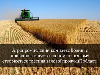 Проект реалізується за фінансової 
підтримки Європейського Союзу 
EU PROGRAMME “SUPPORT TO UKRAINE'S 
REGIONAL DEVELOPMENT POLICY” 
Виконавець: Волинська обласна 
державна адміністрація 
ПРОГРАМА ЄС «ПІДТРИМКА ПОЛІТИКИ 
РЕГІОНАЛЬНОГО РОЗВИТКУ УКРАЇНИ” 
Агропромисловий комплекс Волині є 
провідною галуззю економіки, в якому 
створюється третина валової продукції області 
 