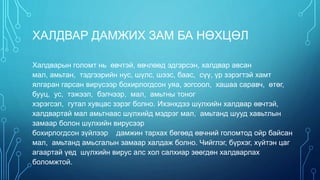 Мал амьтны гоц халдварт өвчин /Animal infectious diseases/ | PPT