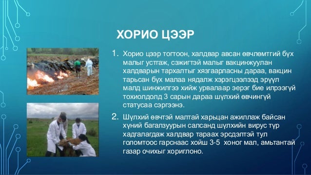 Мал амьтны гоц халдварт өвчин /Animal infectious diseases/