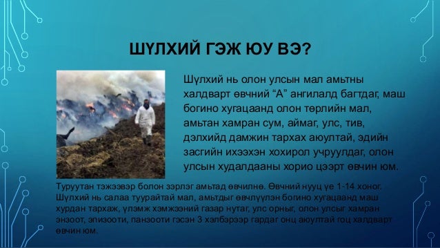 Мал амьтны гоц халдварт өвчин /Animal infectious diseases/