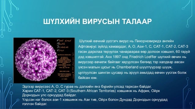 Мал амьтны гоц халдварт өвчин /Animal infectious diseases/
